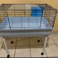 Gabbia porcellini d'india