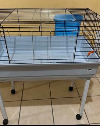 Gabbia porcellini d'india