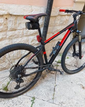Bici mtb 