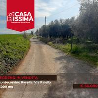 Terreno agricolo di 13.000 mq