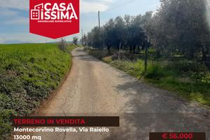 Terreno agricolo di 13.000 mq