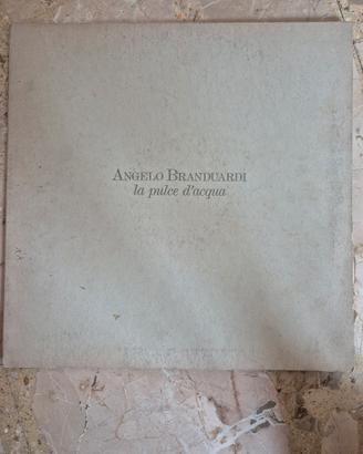 Vinile Angelo Branduardi 