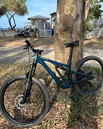 Specialized Stumpjumper alloy 2025