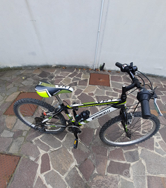 Bicicletta da bambino