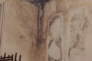 Appartamento da ristrutturare a Valenzano - Opport