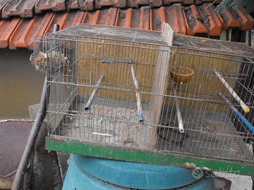 Gabbie per uccelli