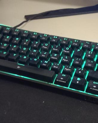Tastiera Meccanica Gaming Dierya DK61se 60% RGB