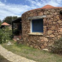 Bungalow Starfish + Seahorse