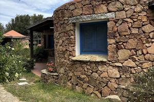 Bungalow Starfish + Seahorse