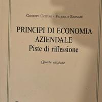 G.catturi "Principi di Economia aziendale-piste"