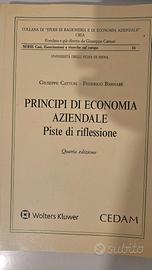 G.catturi "Principi di Economia aziendale-piste"