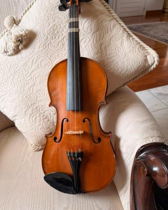 Violino