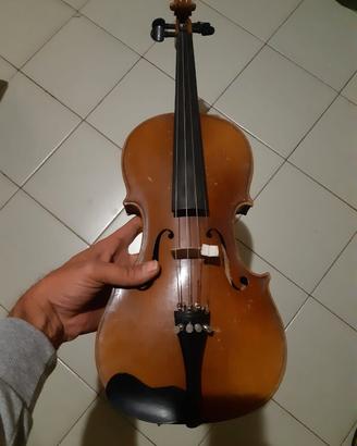 violino 
