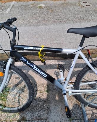 Bicicletta 