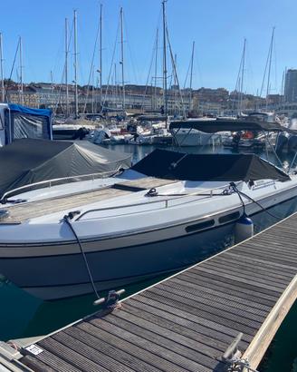 AMF RAMPAGE – MERCRUISER 305 CV – €18.000