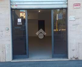 ATTIVITÀ A ROMA