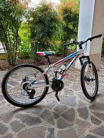 MTB Montana  Spark