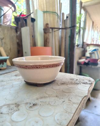 vaso per bonsai 