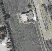 Abitazione e annesso terreno