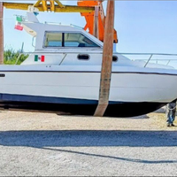 Zaniboni F275 Bluetime