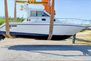 Zaniboni F275 Bluetime