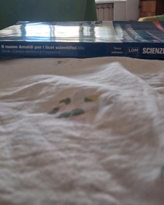 Il nuovo Amaldi per i licei scientifici.blu Fisica