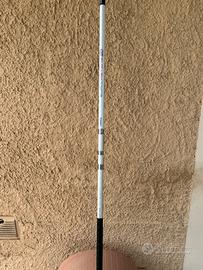 Canna da beach ledgering tubertini