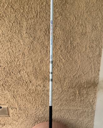 Canna da beach ledgering tubertini