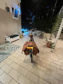Bici elettrica