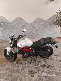 Benelli BN 302 - 2017