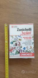 zanichelli 