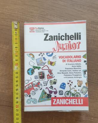 zanichelli 