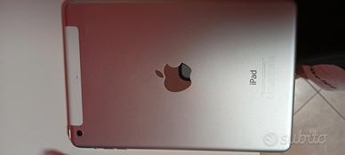 iPad mini 