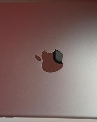 iPad mini 