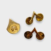 pin spilla metallo gradi militari chevron