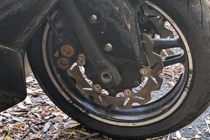 Tmax 500