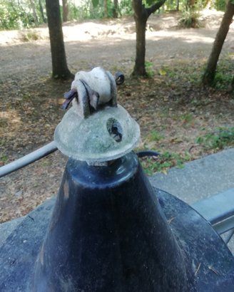Portalampada