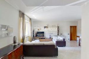 Ampio trilocale senza spese