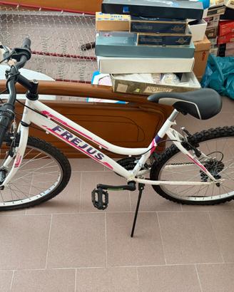 Biciletta Frejus