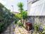 Immagine 29