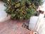 Immagine 18