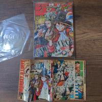 One piece variant + WSJ 