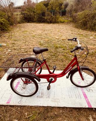 Triciclo per adulti – COME NUOVO