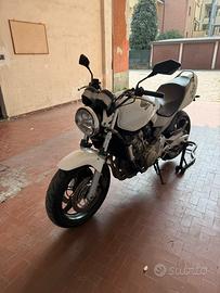 Honda Hornet