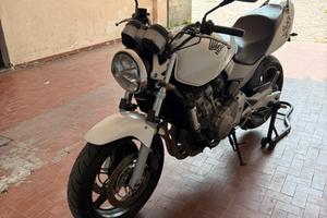 Honda Hornet