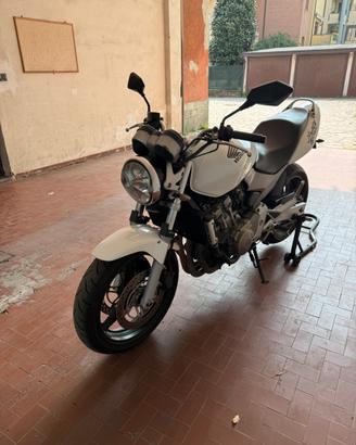 Honda Hornet