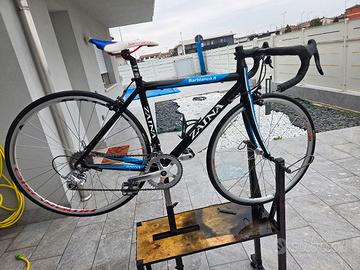 bici da corsa 26 650 carbonio giovanissimi italy 