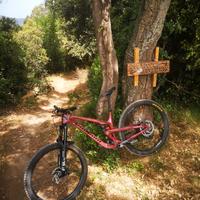 MTB ENDURO  - PROPAIN TYEE CF 2021 TAGLIA M 29