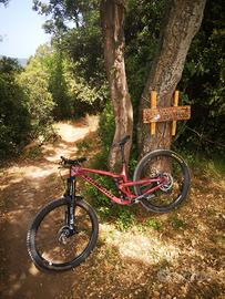 MTB ENDURO  - PROPAIN TYEE CF 2021 TAGLIA M 29