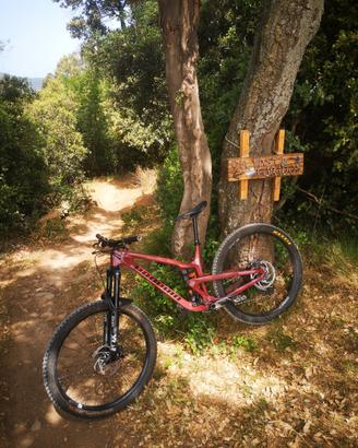MTB ENDURO  - PROPAIN TYEE CF 2021 TAGLIA M 29